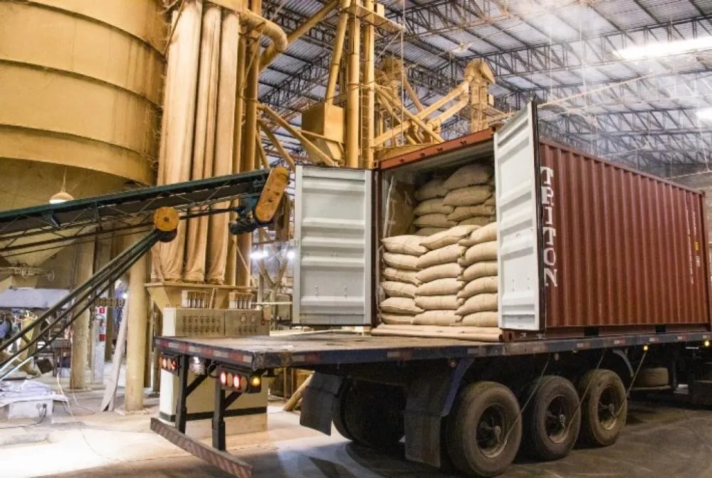 Exportações de café pelo ES superam 5 milhões de sacas em 2026; conilon acumulado é o terceiro maior da história