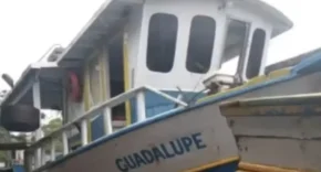 © Francisco Trevisan/GBMar