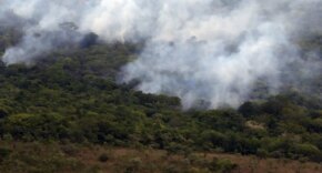 Brasil queimou mais de 185 milhões de hectares de biomas em 38 anos