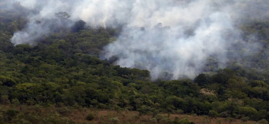 Brasil queimou mais de 185 milhões de hectares de biomas em 38 anos
