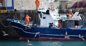 Projeto facilita habilitação de aquaviário para pescadores