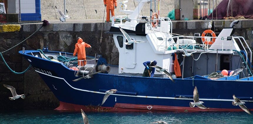 Projeto facilita habilitação de aquaviário para pescadores