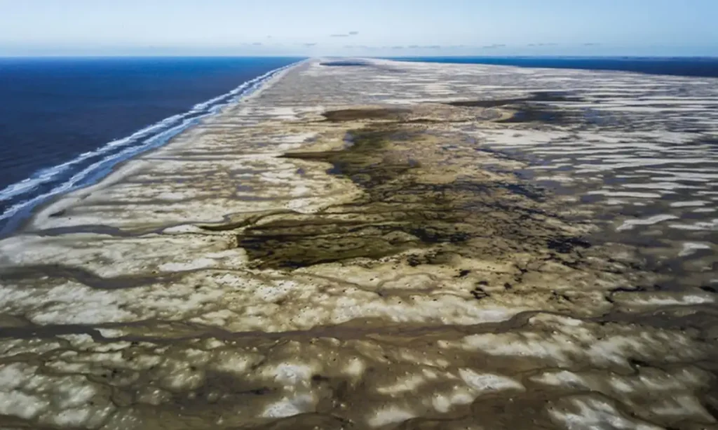 © Acervo NEMA/Divulgação/Ministério do Meio Ambiente