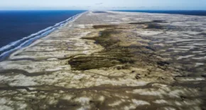 © Acervo NEMA/Divulgação/Ministério do Meio Ambiente