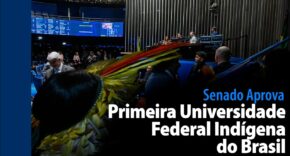 Vídeo: Senado Aprova: Primeira Universidade Federal Indígena do Brasil