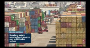 Vídeo: Tarifaço dos EUA: senadores querem negociações antes de usar reciprocidade