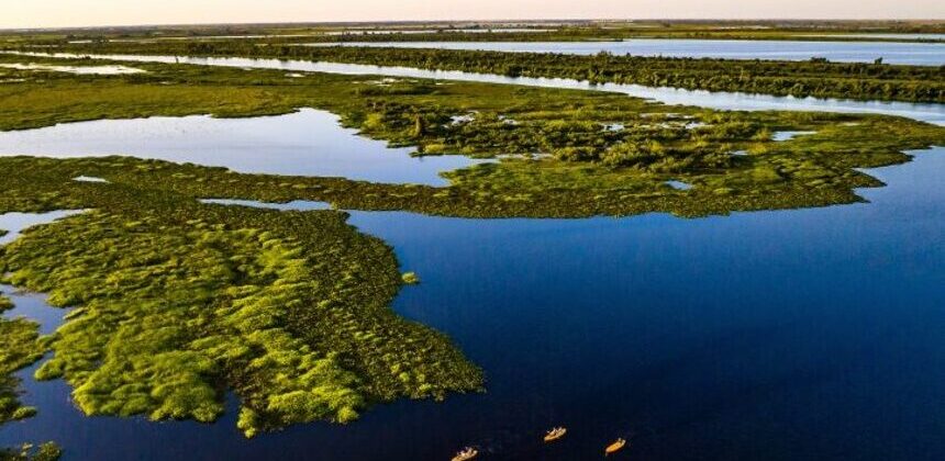 Dia Mundial do Meio Ambiente: projetos no Senado reforçam agenda climática
