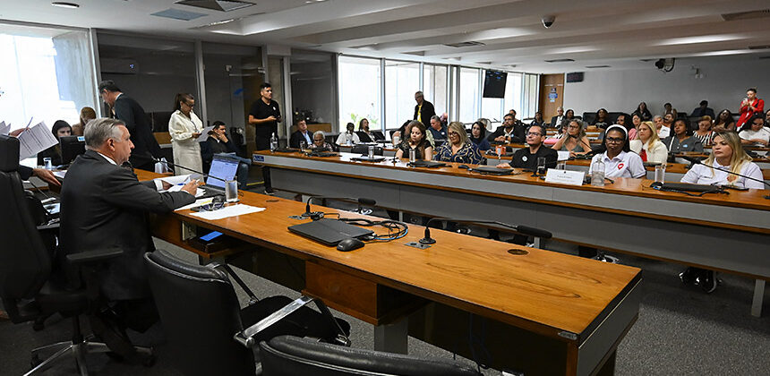 Em audiência, feirantes do DF relatam medo de perder locais de trabalho