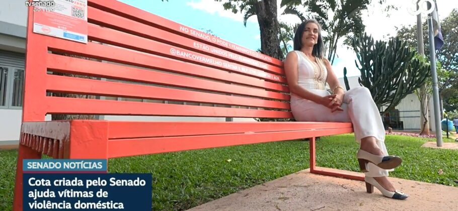 Vídeo: Senado criou há 10 anos cotas para vítimas de violência doméstica
