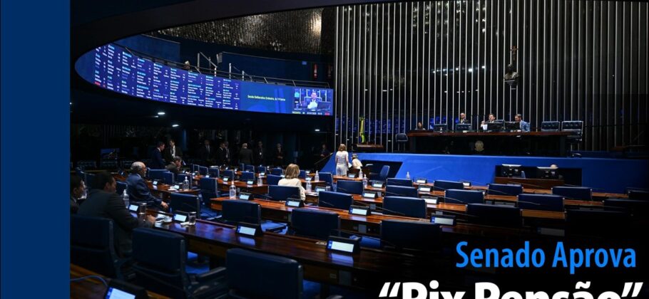 Vídeo: Senado Aprova: “Pix Pensão”